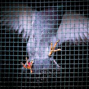 ❌❌❌❌HDvideo少妇
